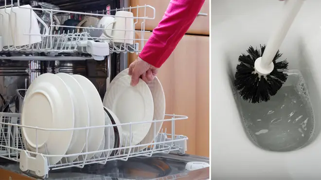 Is it safe to put toilet brush in dishwasher? + VIDEO